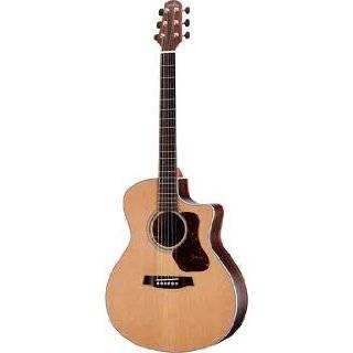  Walden G730 Acoustic Guitar,w/gig Bag Musical 