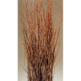  Salt Cedar Branches 4 to 5 Ft Tall   Pack of 25   Natural 