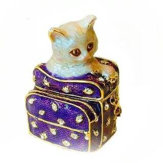    Silver Colored Sleeping Cat Pill Box Pill Box Toys & Games