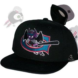   Retro Minor League Baseball Snapback Hat Cap **Sz. S/M Fits Up to