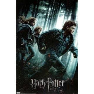   Harry Potter and the Deathly Hallows Part I Movie One Sheet Group