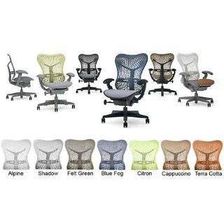   Chair   Deluxe Fully Adjustable Graphite with forward tilt seat angle