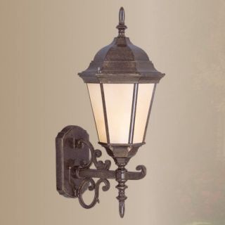 New 1 Light SM Outdoor Wall Lamp Lighting Fixture Bronze Iced Champagne Glass