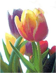 Tulip Counted Cross Stitch Pattern Flower Floral Spring