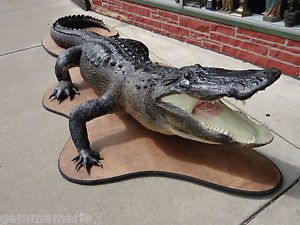 Massive Huge 12 5 Foot Long Godzilla Taxidermy Full Body Alligator Museum Qualit