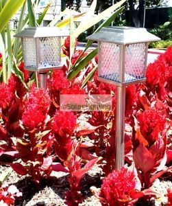 8 Outdoor Stainless Steel Square Solar Landscape Lights
