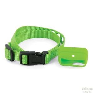 PetSafe Deluxe Little Dog Bark Control Collar Skin Green PAC00 12779