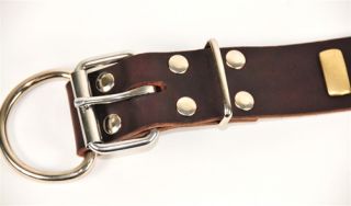 1 1 2' Leather Dog Collar Medium and Extra Large Breeds
