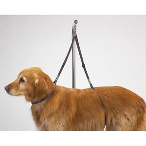 Top Performance Nylon Table Dog Grooming Harness Small to Large Dogs 27 34 Inch