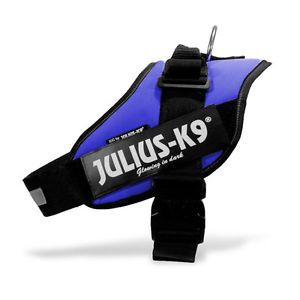 New Julius K9 Blue IDC Dog Pet Harness 12 Colors Small Medium Large Sizes Avail
