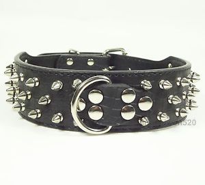 2inch Wide Gator Leather Large Dog Collar Spikes Studded Collars Pitbull Terrier