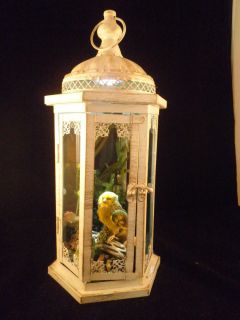 Chirping Antique Victorian Inspired Taxidermy Yellow Canary Bird Glass MTL Disp