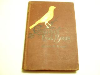 Canaries and Cage Birds by George H Holden Third Edition 1895