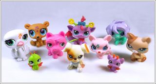 Lot of 10 Littlest Pet Shop LPS Cat Dog Toy Animals Figures Child Girl Xmas PS52