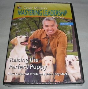 Cesar Millan's Mastering Leadership Series Vol 6 Raising The Perfect Puppy DVD