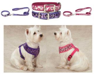 East Side Collection Vibrant Leopard Dog Collars Harness Leads