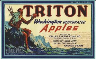Vintage Triton Washington Dehydrated Apple Crate Label Valley Evaporating Yakima