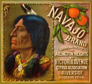Navajo Vintage Orange Crate Label Riverside CA