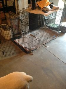 XX Large 55" Folding Dog Crate Metal Cage Kennel 3 Doors
