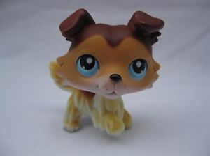 Littlest Pet Shop 58 Collie Dog Puppy Brown Caramel Blue Eyes 1 Paw Up Cute