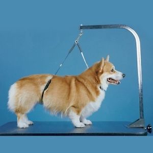 N0 Sit Haunch Holder Dog Grooming Restraint Holder for Small Medium Large Dogs