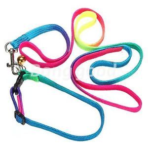 Rainbow Pet Dog Puppy Nylon Rope Leash Slip Lead Neck Strap Collar Harness 54"