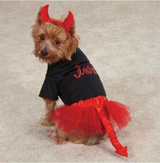 Casual Canine Lil' Devil Pet Dog Halloween Costume XXS L