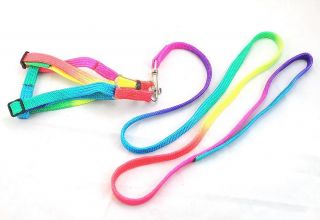 1cm Multicolor Nylon Dog Harnesses and Leads Pet Dog Harness and Leashes Set HL8