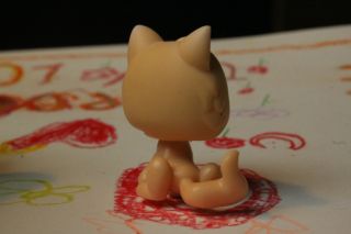 C4 Happy Littlest Pet Shop LPS 293 Cream Tan Persian Cat Kitten Hazel Eyes