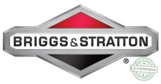 Briggs Stratton Spark Plug