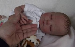 Newborn Infant 0 3 Months Reborn Baby Girl Doll Sienna Sculpt 3 4 Limbs HMD Art