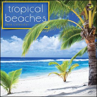 Tropical Beaches 2014 Mini Wall Calendar