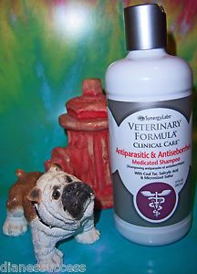 Mange Fungus Skin Infection Medicated Shampoo Dog Cat Horse Salicylic Acid New