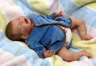 Reborn Fake Baby Boy Sleeping Painted Hair Daniel by Tiny Baby Bundles Nursery