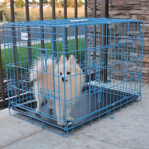 Champion 42" Blue Portable Folding Dog Pet Crate Cage Kennel 3 Door Metal Tray