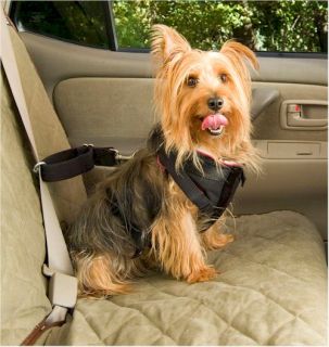 Car Safety Harness Small Dog Pet Padded Breathable Washable Vehicle SUV Solvit
