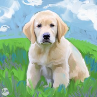 Golden Retriever Puppy Pup Dog Oil Canvas Painting Print 15 Medium