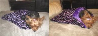 Purple Zebra Faux Fur Snuggle Sack Blanket Dog Cat Pet Bed Choose
