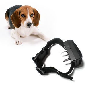 Wholesale New Small Medium Anti Bark No Dog Training Shock Collar
