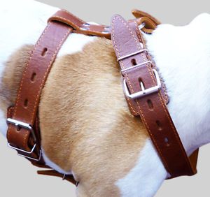 German Shepherd Dog Harness