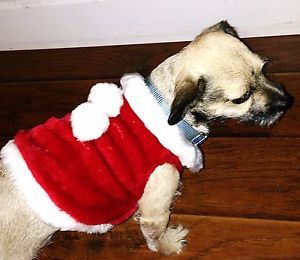 Companion Road Pet Fashions Small Dog Christmas Clothing