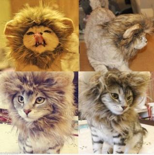 New Pet Costume Lion Mane Wig for Dog Cat Halloween Cloth Fancy Dress Up Ears