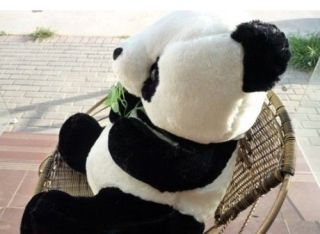 New Plush Teddy Bear Panda and Baby Panda Huge Soft 100 Cotton Toy 35cm
