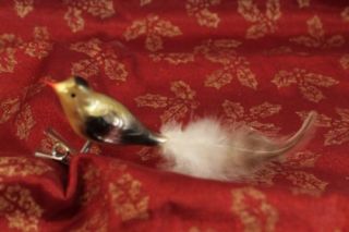 Christmas Ornament Blown Glass Small Bird Feather Tail Clip on Perfect 