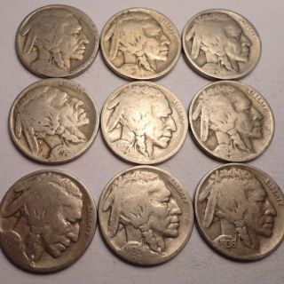 9 Different Date Mint Mark Buffalo Nickels Lot G41