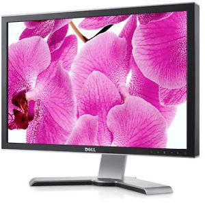 Dell UltraSharp 2408WFP 24 Widescreen LCD Monitor