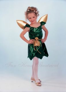 Pixie Fairy Halloween Costume Green Small Child SG 16C