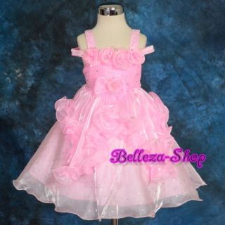 Wedding Flower Girls Party Pageant Dress Size 12M 4T