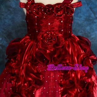 Sequin Ruffle Burgundy Wedding Flower Girl Pageant Dress Baby Size 2T 3T FG108