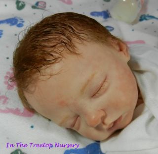 In The Treetop Nursery Presents Reborn Baby Girl Maise SoOoO Real
